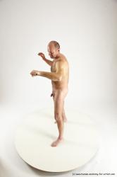 Fighting reference poses of Peter